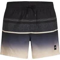 O'Neill Gradient 15´´ Swimming Shorts Noir S Homme