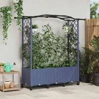 Prolenta Maison Exclusive - Jardinière surélevée avec treillis et toit, couleur gris, 164 x 40 x 144 cm, en plastique PP