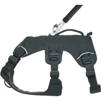 Ruffwear Web Master Dog Harness Noir XS