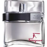 Salvatore Ferragamo F BY FERRAGAMO POUR HOMME Eau de Toilette 100 ml – Parfum Masculin Frais et Dynamique