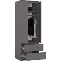 RAUMHIRSCH FURNITURE Armoire raumhirsch S60, 60 cm de large, avec 2 portes, 2 tiroirs, finition haute brillance, hauteur 180 cm. Modèle STAR