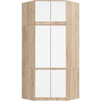 RAUMHIRSCH FURNITURE raumhirsch : Armoire d'angle fonctionnelle avec partie supérieure, 9 compartiments et 6 portes
