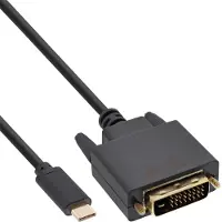 InLine 64131 Câble USB pour écran, USB Typ-C mâle à DVI mâle (DP Alt Mode), noir, 1m