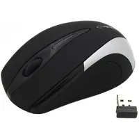 Esperanza EM101S mouse Office RF Wireless Optical 800 DPI