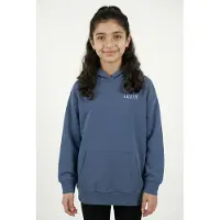 Levi's Kids Sweat | 140 | boy