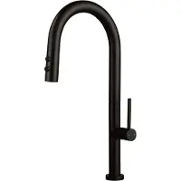 Deante Kitchen faucet with pull-out spout - 2 types of spray