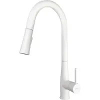 Deante Kitchen faucet with pull-out spout