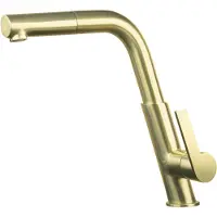 Deante Kitchen faucet with pull-out spout