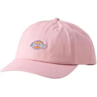 Dickies Hardwick Cap Rose
