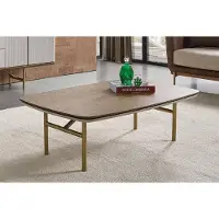 Casa Padrino Luxe Table basse Marron / Gris clair / Laiton 120 x 68 x H. 35 cm - Table de salon rectangulaire en bois massif - Meubles de salon - Meubles de luxe - Ameublement de luxe