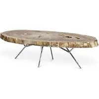 Casa Padrino Table basse de luxe couleur naturelle / argent 115 x 68 x H. 35 cm - Table de salon noble avec plateau en bois pétrifié et pieds en acier inoxydable - Meubles de salon de luxe