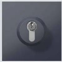Siedle Module de serrure SM 611-01 AG gris anthracite