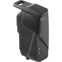 Campagnolo Record Wrl Fd Battery Noir