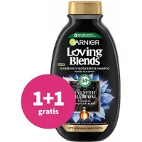 Garnier Loving Blends Shampoo 300ml Holzkohle