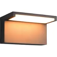 TRIO Lampe murale moderne Ravi anthracite