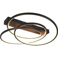 TRIO Plafonnier de chambre Darvin noir - 65cm