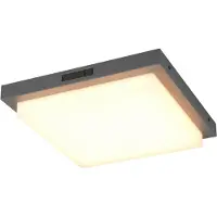 TRIO Plafonnier Bermejo carré anthracite