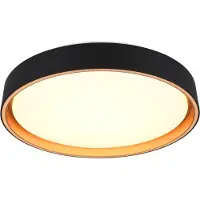 REALITY IMPORT Reality Felis LED plafonnier 24W 40cm dimmable noir-or CCT couleur de lumière réglable