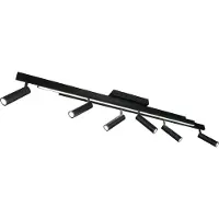 TRIO 648310732 ZENO Plafonnier LED SMD 1x18W/2200lm, 6x5,5W/650lm 2700-6500K noir mat, télécommande