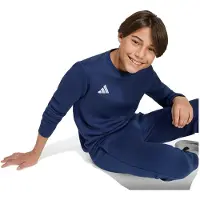 Adidas Pull Entrada 26 Enfants