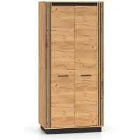 Feldmann-Wohnen Armoire Urso, 92 x 55 x 200 cm, chêne Gold Craft noir, 2 portes