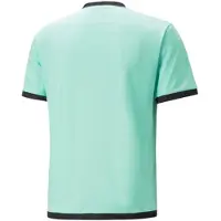 Puma T-shirt Teamliga Jersey Junior, 70492504, Pointure: 164