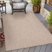 HomebyHome Tapis Intérieur Extérieur Tissage Plat Aspect Sisal avec Bordure Imperméable pour Cuisine Terrasse Salon, Taille: 60x100 cm