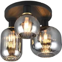 TRIO Plafonnier tendance Diva avec verre fumé