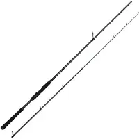 Savage Gear Canne à lancer Defiance SG4 Inshore 2,44 m 6-35 g, 2 brins
