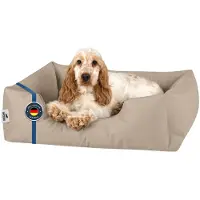 BedDog Zara Lit Pour Chien, Panier Corbeille, Coussin De Chien [S Env. 55x40cm, Namib-Sand (Beige)]