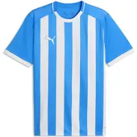 Puma Hommes, T-shirt de sport, teamLIGA26 Striped Jersey (XXL), Bleu, Multicolore, Blanc, XXL