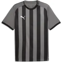 Puma Hommes, T-shirt de sport, teamLIGA26 Striped Jersey (3XL), Blanc, Noir, Gris, 3XL
