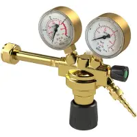 RIEGLER FDM200.ArHe.10