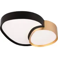 TRIO Rise LED Plafonnier 21W dimmable noir-or CCT couleur de lumière réglable Veilleuse