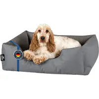 BedDog Zara Lit Pour Chien, Panier Corbeille, Coussin De Chien [M Env. 70x55cm, Steel-Grey (Gris)]