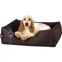 BedDog Zara Lit Pour Chien, Panier Corbeille, Coussin De Chien [M Env. 70x55cm, Chocolate (Brun)]