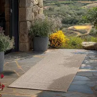 Teppium Tapis Extérieur Beige 80x250 cm Couloir Résistant aux Intempéries UV Facile d’Entretien Uni avec Bordure pour Cuisine Balcon Terrasse Salon