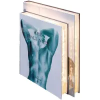 Casa Padrino Lampe de table de luxe design livres hommes 31 x 7,5 x H. 26,5 cm - Lampe de table LED