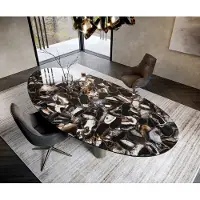 DELIFE Table à manger Edge Oval 280x130 Céramique Iris FMG Agatablack Troa Métal Effet Titane