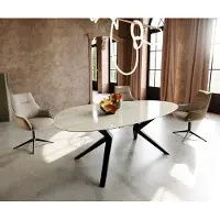 DELIFE Table à manger Edge Ovale 220x120 Céramique Iris FMG Onice Oro Zenthara anguleux Métal Noir