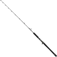 Penn Carnage Viking Edition Spinning Rod Argenté 1.72 m / 150-500 g