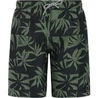 Protest William Swimming Shorts Vert,Noir 140 cm Garçon