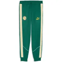 Puma Hommes, Bas de sport, FSF KING Anthem Pants (XL), Vert, Jaune