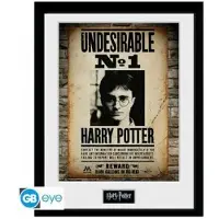 Harry Potter Noname Harry Potter - Collector Print 30x40 - Undesirable No1