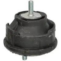 Delphi Support de moteur pour BMW Série 3 Berline (E46) TEM127