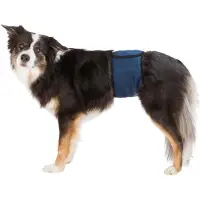 Trixie Ceinture ventrale pour chiens S : 29-37 cm