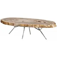 Casa Padrino Table basse design Art Déco de luxe , en bois fossilisé - Table pour salon, en acier inoxydable poli - 110-120 x 65-85 x H. 35 cm