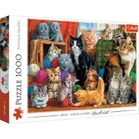 Trefl 10555 Puzzle Chats - 1000 pièces