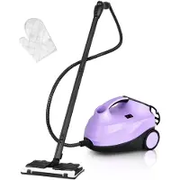 Coast Nettoyeur vapeur multifonction - Accessoires inclus - 2000W - Réservoir 1.5L - Violet