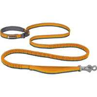 Ruffwear Roamer Dog Leash Bleu L